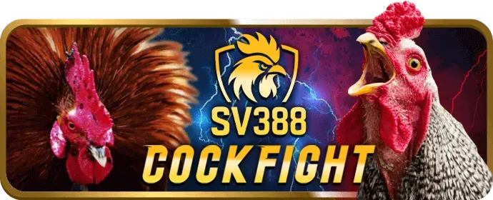 Phân tích chuyên sâu và chiến lược cá cược 189bet